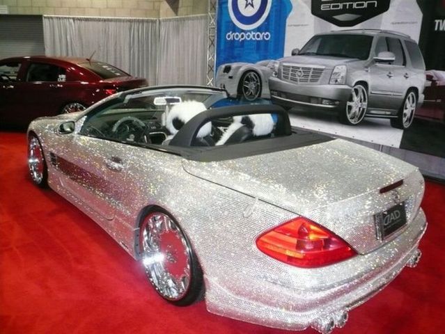 Mercedes for glamorous blonds (13 pics)