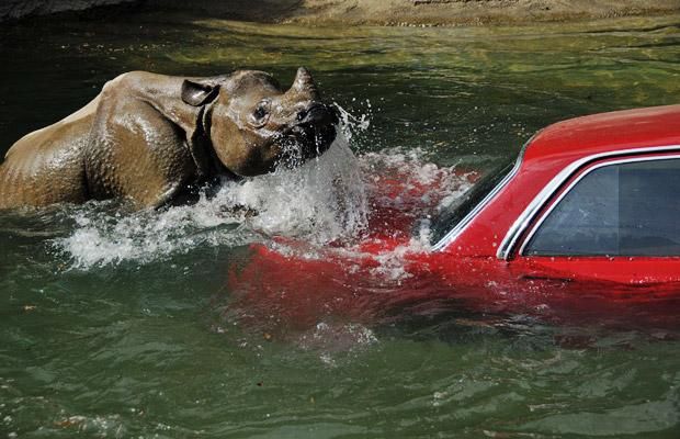Daily picdump (101 pics)