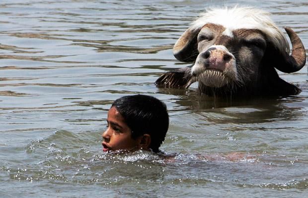 Daily picdump (101 pics)