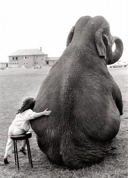 Daily picdump (101 pics)