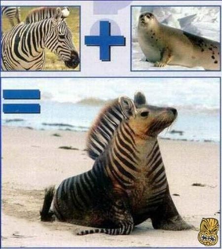 Daily picdump (101 pics)