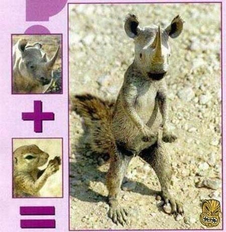 Daily picdump (101 pics)