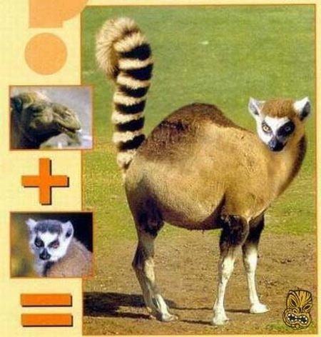Daily picdump (101 pics)