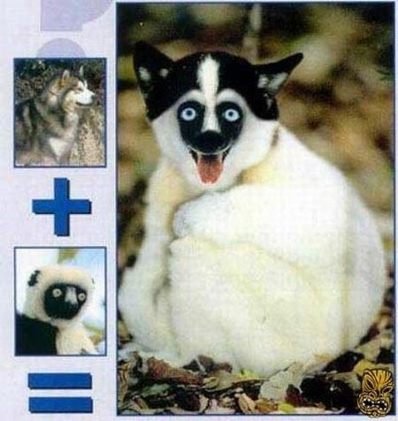 Daily picdump (101 pics)