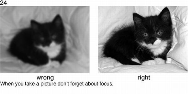 Learn to take pictures correctly (78 examples)