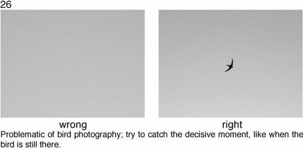 Learn to take pictures correctly (78 examples)