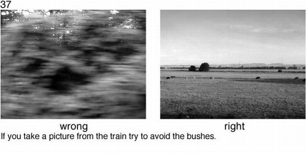 Learn to take pictures correctly (78 examples)