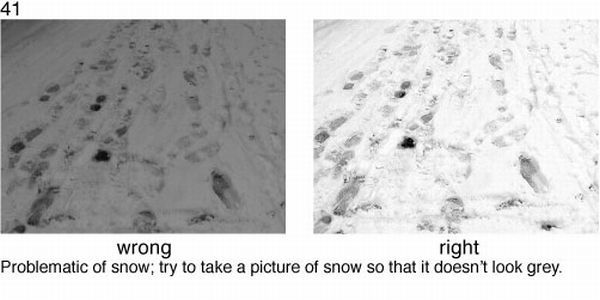 Learn to take pictures correctly (78 examples)