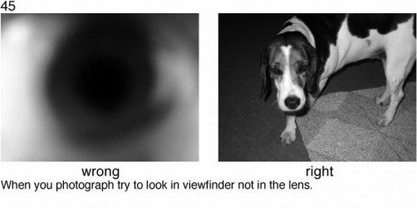 Learn to take pictures correctly (78 examples)