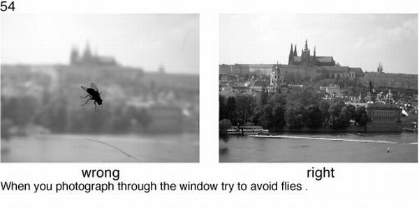 Learn to take pictures correctly (78 examples)