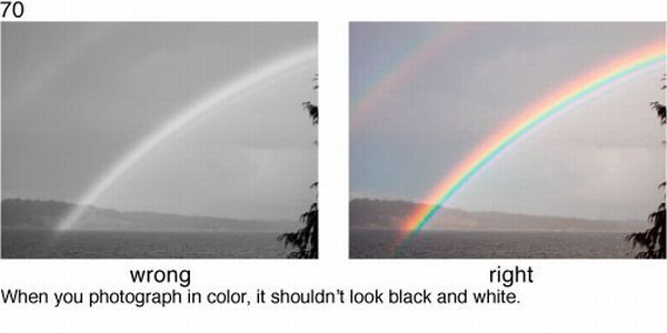 Learn to take pictures correctly (78 examples)