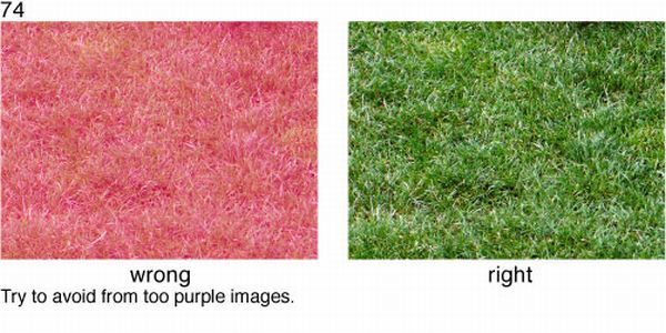 Learn to take pictures correctly (78 examples)