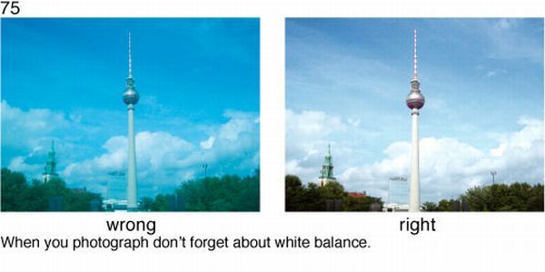 Learn to take pictures correctly (78 examples)