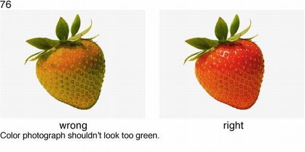Learn to take pictures correctly (78 examples)