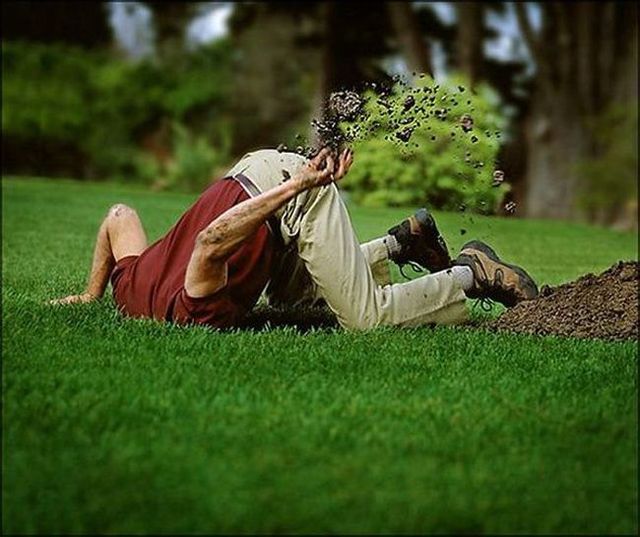 Daily picdump (115 pics)