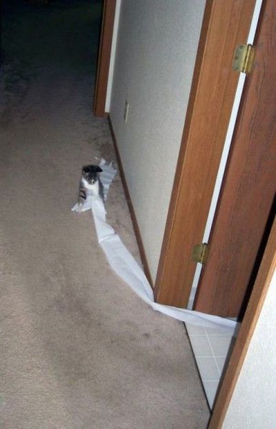 Daily picdump (115 pics)