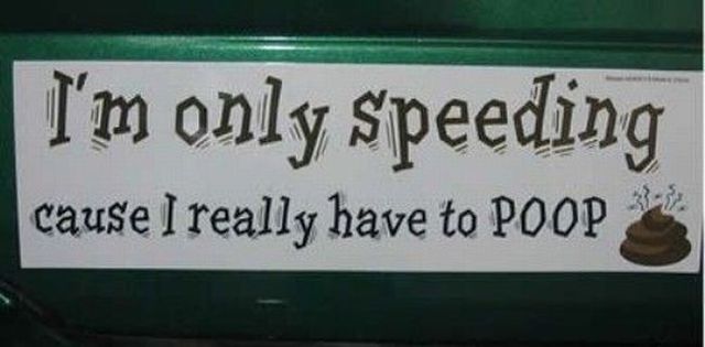 Daily picdump (115 pics)