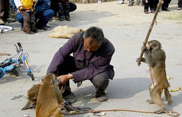 Daily picdump (115 pics)