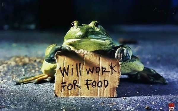 Daily picdump (115 pics)