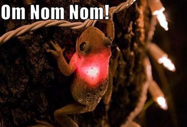 Daily picdump (115 pics)
