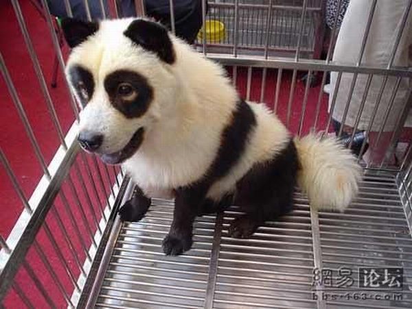 Daily picdump (115 pics)