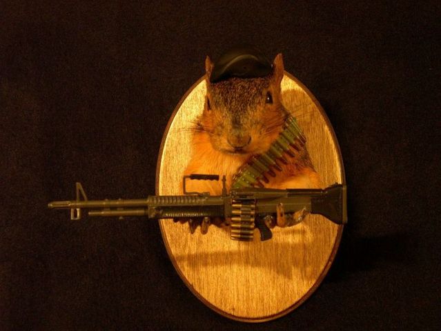 Daily picdump (115 pics)