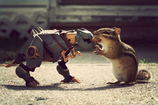 Daily picdump (115 pics)