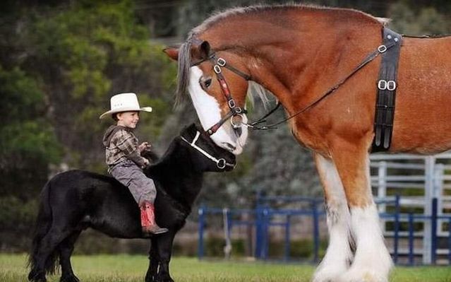 Daily picdump (115 pics)