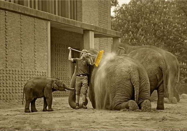 Daily picdump (115 pics)