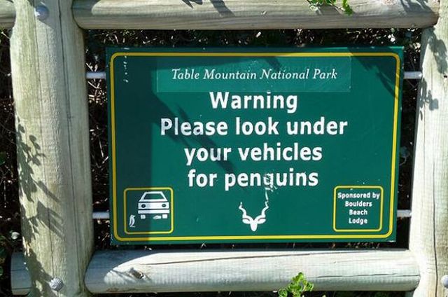 Weird signs. Part 2 (44 pics)