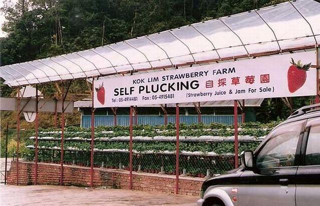 Weird signs. Part 2 (44 pics)