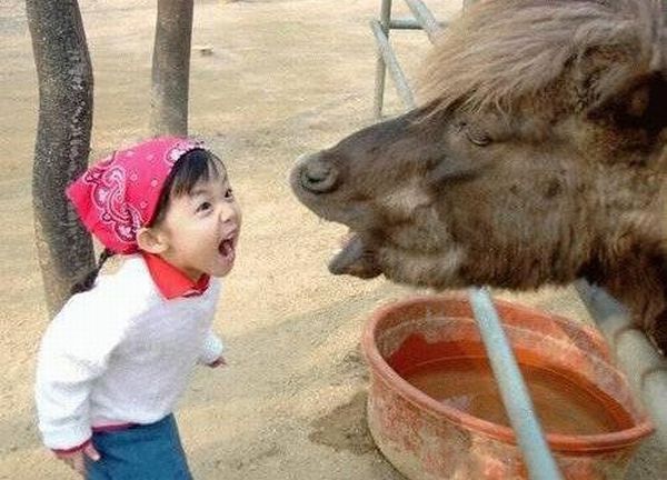 Bayi Lucu