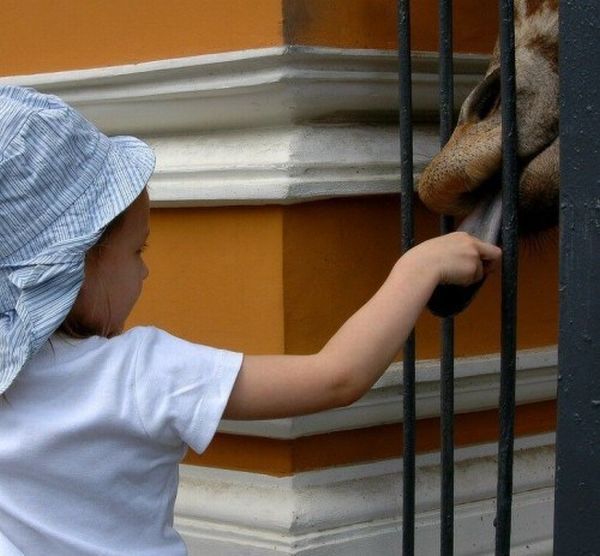 Funny kids (53 photos)