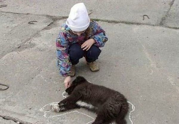 Funny kids (53 photos)