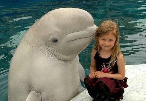 Funny kids (53 photos)