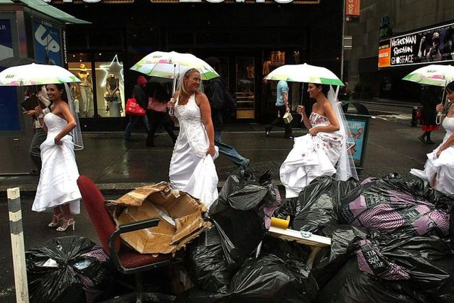 Daily picdump (95 pics)