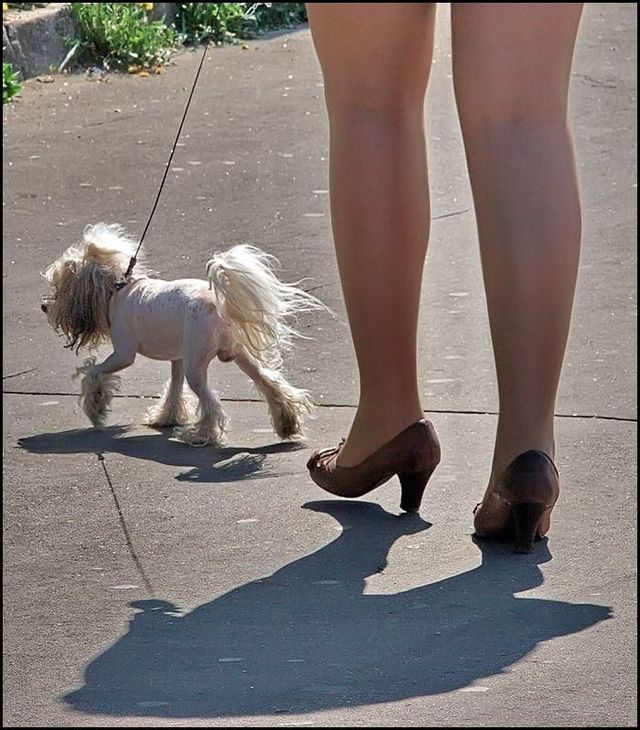 Daily picdump (95 pics)