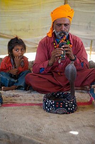 Very small snake charmers (15 pics)