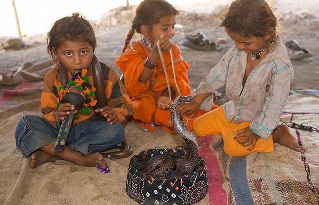 Very small snake charmers (15 pics)
