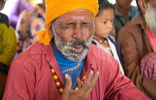 Very small snake charmers (15 pics)