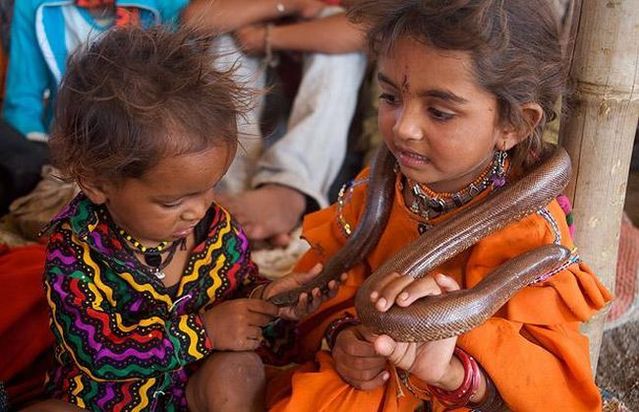 Very small snake charmers (15 pics)