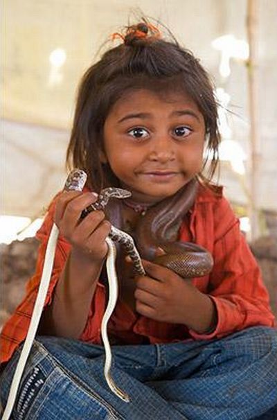 Very small snake charmers (15 pics)