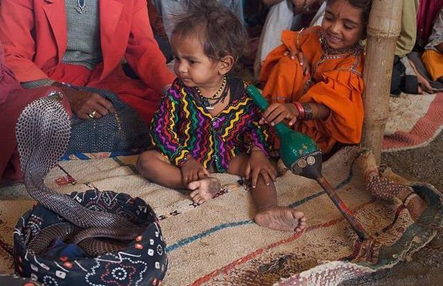 Very small snake charmers (15 pics)