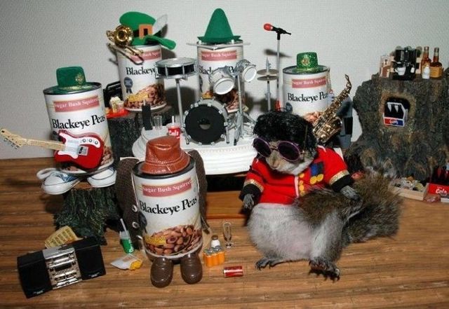 Daily picdump (113 pics)