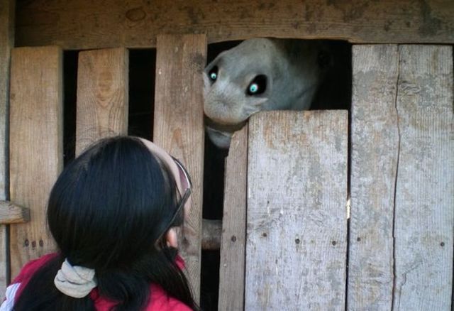 Daily picdump (113 pics)