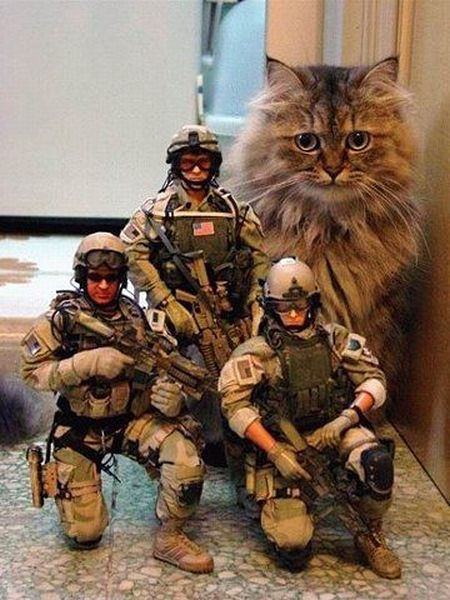 Daily picdump (113 pics)