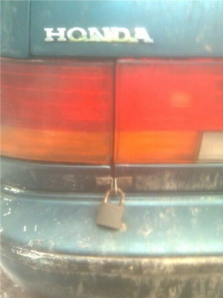 Daily picdump (113 pics)