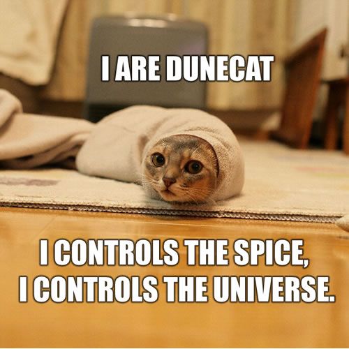 Daily picdump (113 pics)