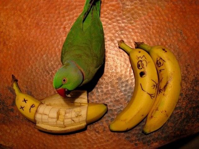 Daily picdump (113 pics)