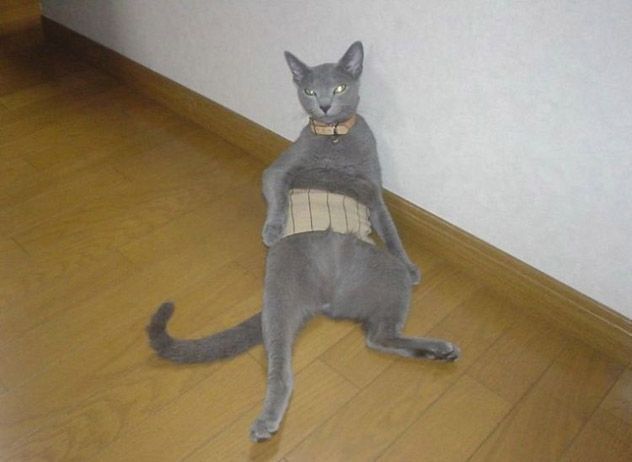 Daily picdump (113 pics)